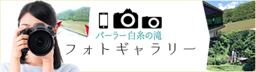 フォトギャラリー